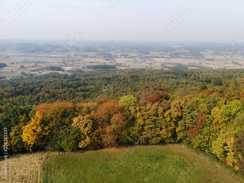 abgeerntetes Feld und verfärbte Wälder im Herbst photo