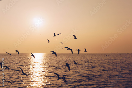 Silhouette seagull birds flying over the blue sea water with yellow sun light shining in the evening background.