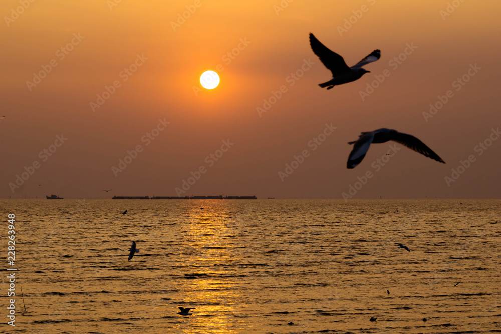 Silhouette  seagull birds flying over the blue sea water with yellow sun light shining in the evening background.