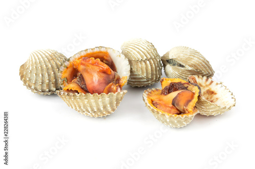 fresh cockles seafood isolate on white background 