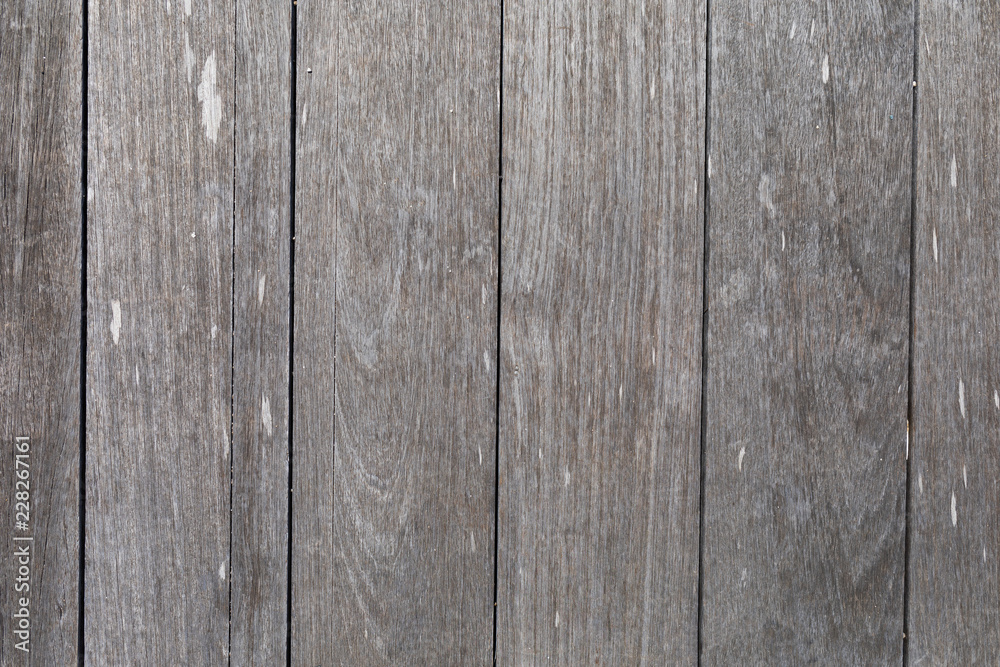 gray wood texture. May serve as background gray wood texture. May serve as background