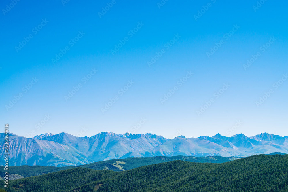 Giant mountains and glaciers above hills with forest. Snowy ridge under blue clear sky. Snow summit in highlands. Permafrost, permanent cold. Amazing atmospheric minimalist mountain landscape.