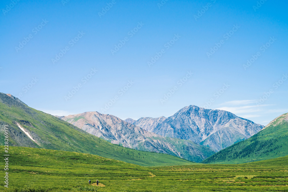 Tourists goes trail to giant mountains with snow in sunny day. Small tourists in green valley. Meadow with rich vegetation of highlands in sunlight. Amazing mountain landscape of majestic nature.