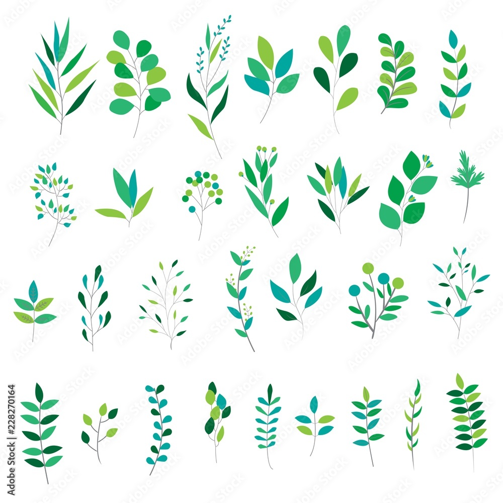 green leaves collection - obrazy, fototapety, plakaty 