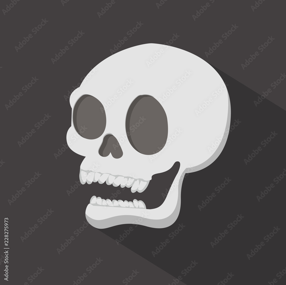 Head Skull with long shadow Head Skull with long shadow