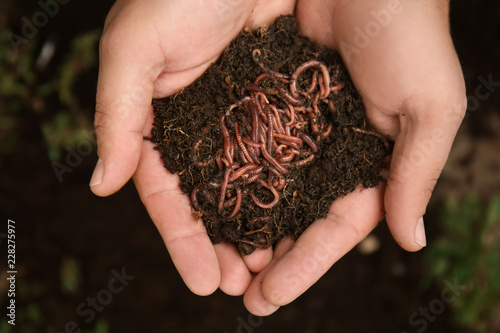 Man holding worms with soil, closeup