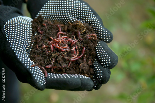 Woman holding worms with so...
