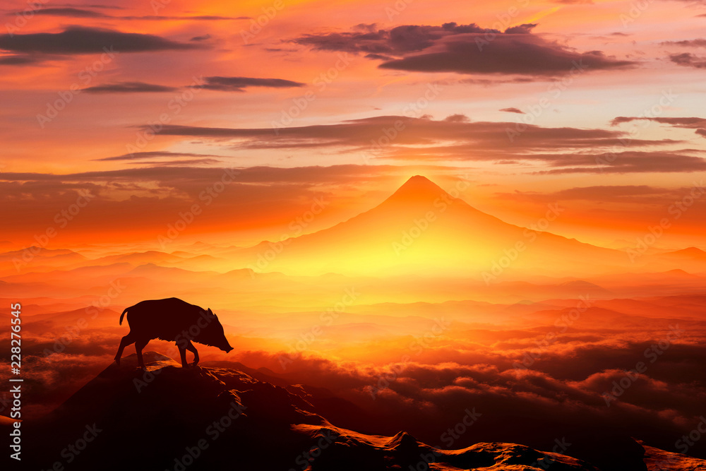 Fototapeta premium 富士山の日の出とイノシシのシルエット