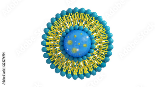 Liposome structure cell 3D rendering photo