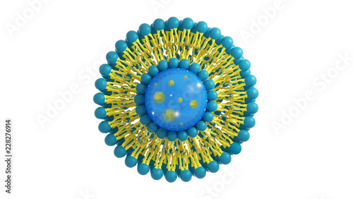 Fototapeta Naklejka Na Ścianę i Meble -  Liposome structure cell 3D rendering
