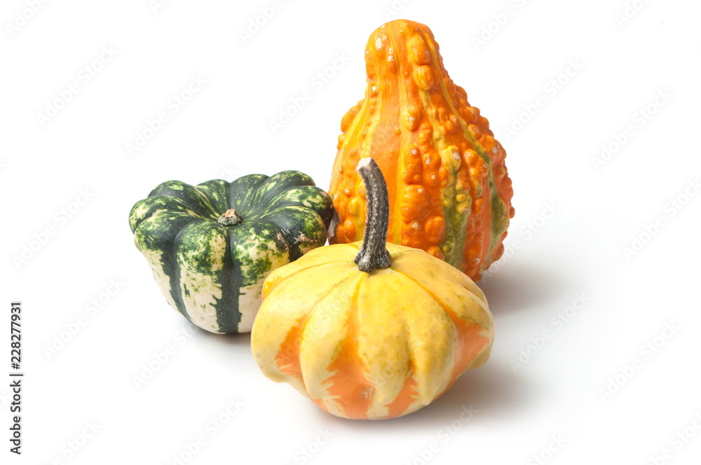 Fototapeta premium closeup of colorful gourds for halloween decoration on white background