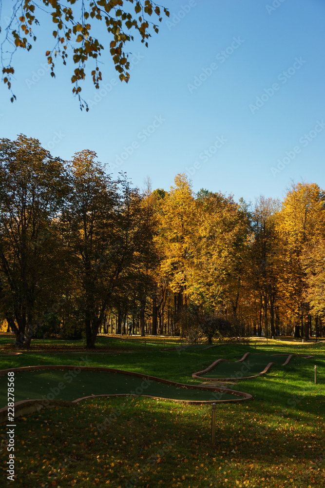 Warm autumn day in a bright color park. Orange foliage and trees in the forest. Warm autumn day in a bright color park. Orange foliage and trees in the forest.