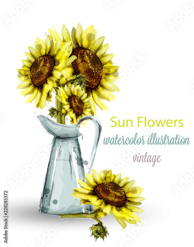 Sunflowers bouquet watercolor Vector. Floral spring decorations