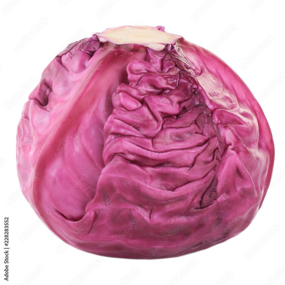 Obraz premium purple cabbage isolated on white