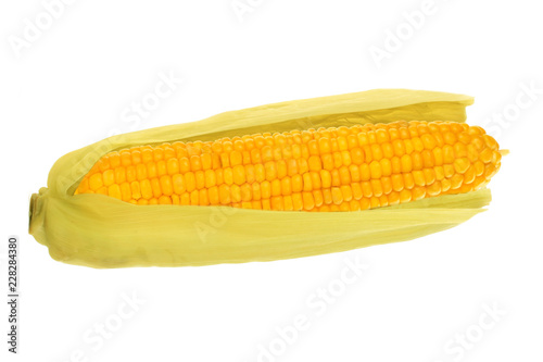 yellow maize isolated on white background
