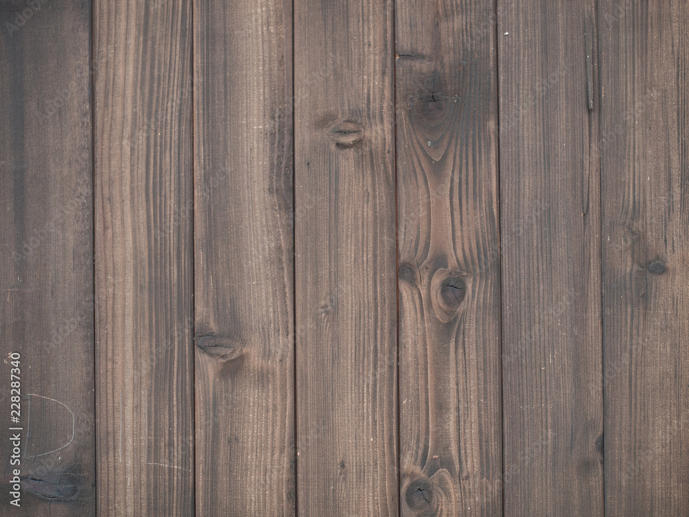 Naklejka premium OLYMPUS DIGITAL CAMERA