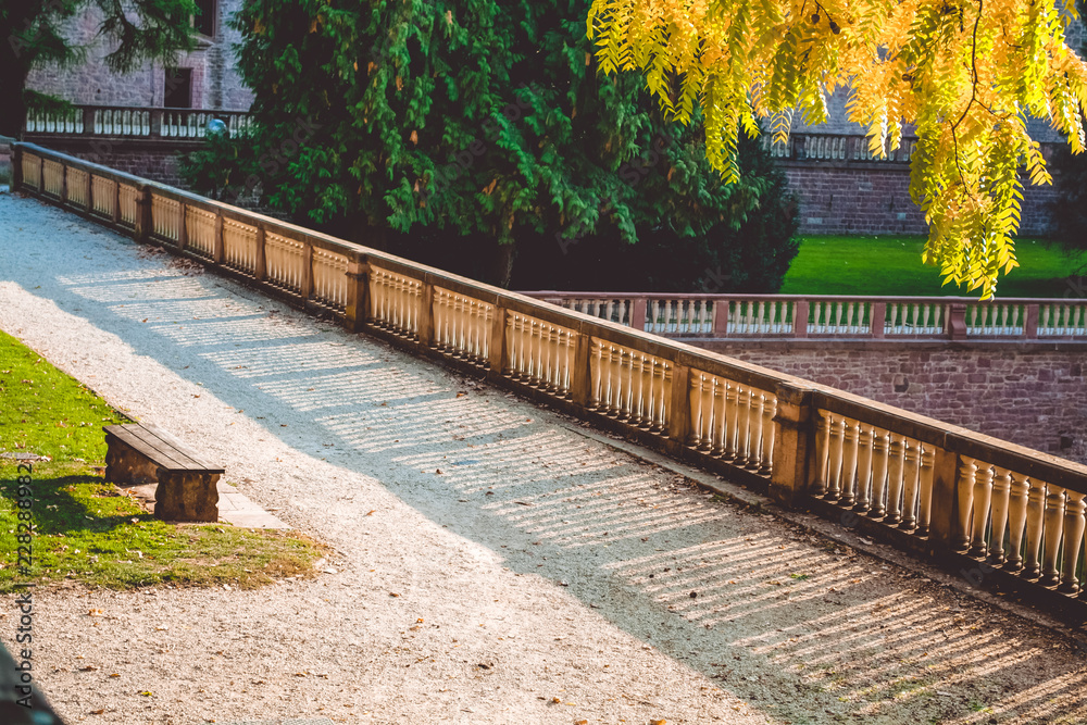 Obraz premium Old park in Germany. Autumn. Yellow trees. Sunny day. Lonely bench.