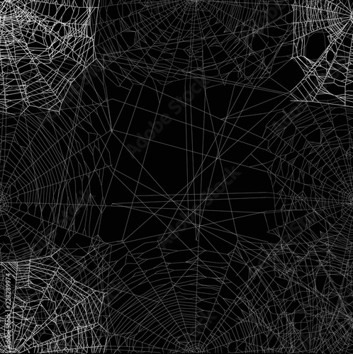 dense spider square web on black