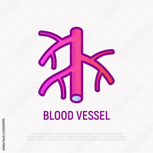 Blood vessel thin line icon. Modern vector illustration.