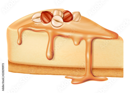 Cheesecake with nuts and caramel sauce. Vector illustration.