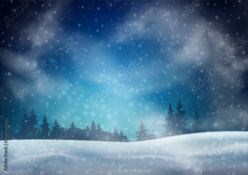 Winter Night Landscape © Nadezda Kostina