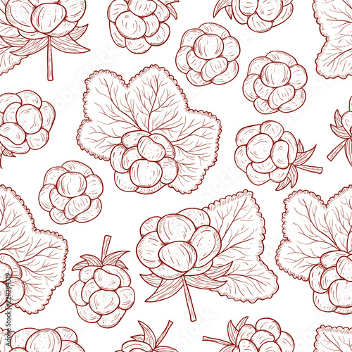 Cloudberry. Berry, leaves. Sketch. Monochrome. On a white background. Seamless.