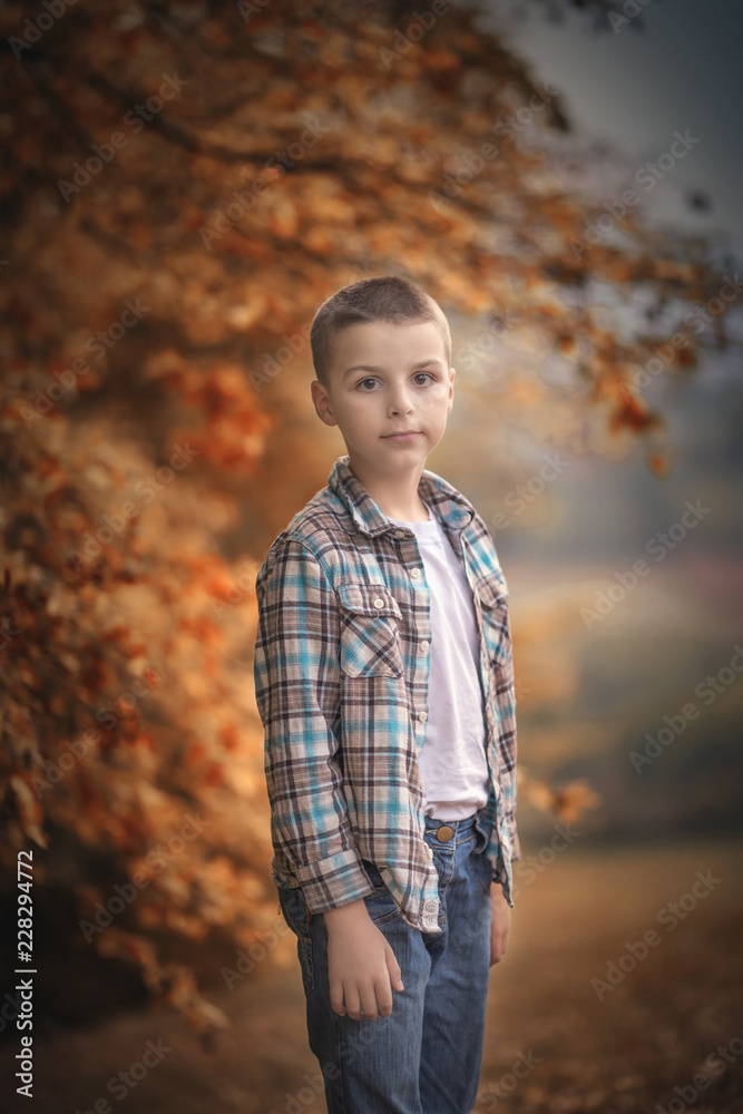 Fototapeta premium boy stands on a meadow before sunset
