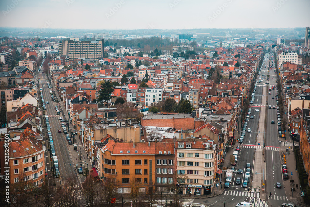 Fototapeta premium Brussels' Cityscape viewed from the top of Basilica of the Sacred Heart Koekelberg