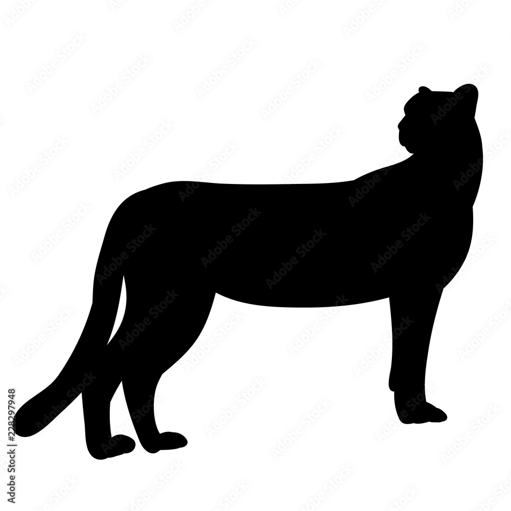 Obraz premium vector, on white background silhouette of jaguar, cheetah