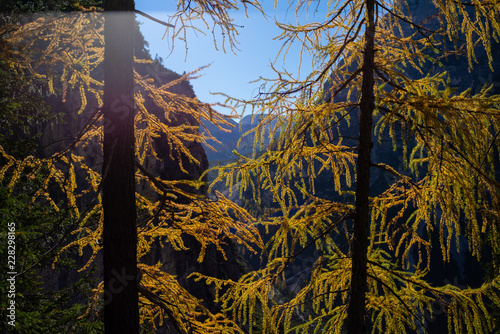Autunno in Dolomiti