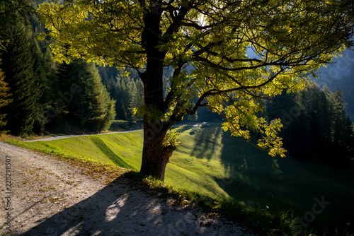 Autunno in Dolomiti