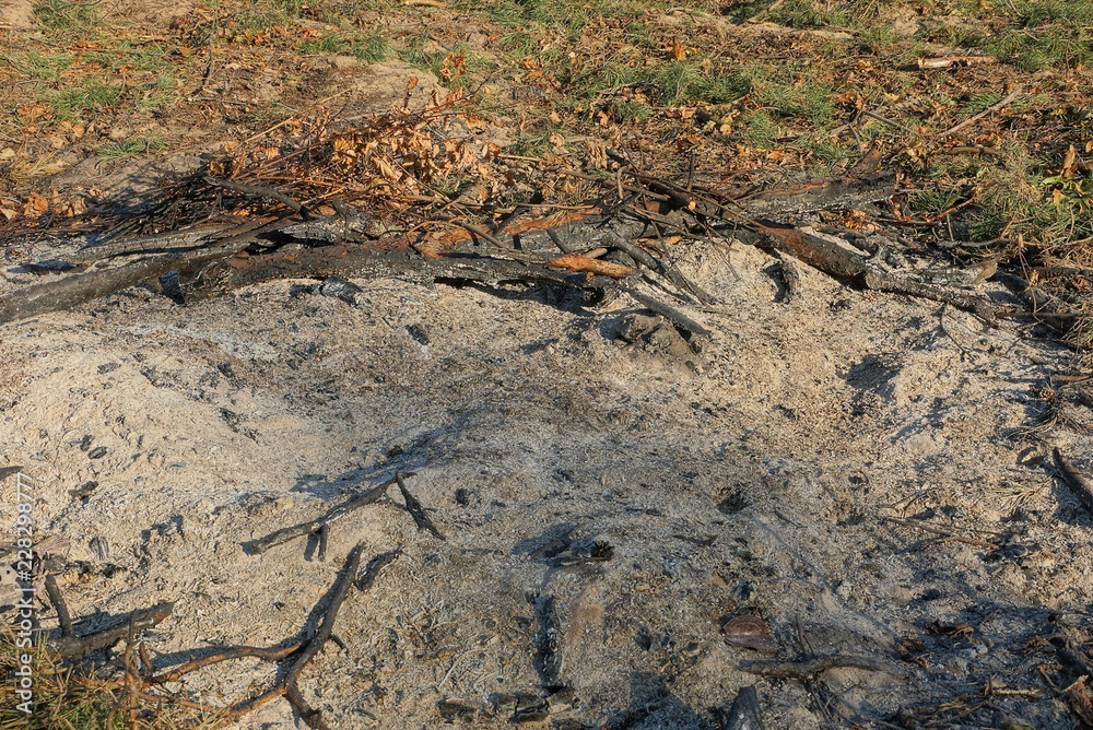 gray ash with ash and pieces of branches in an extinct campfire in nature gray ash with ash and pieces of branches in an extinct campfire in nature