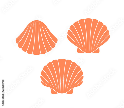 Scallop logo. Isolated scallop  on white background
