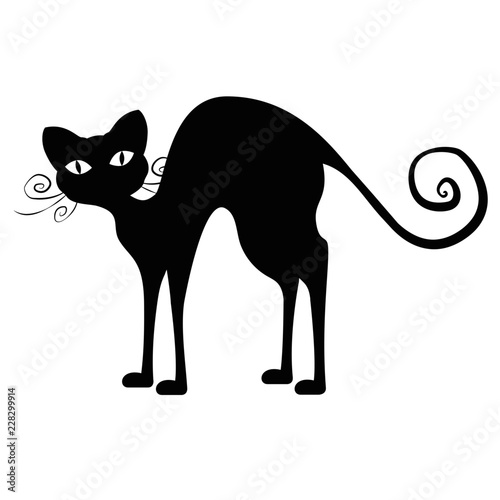 Halloween Black Cat