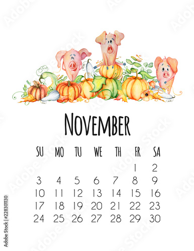 Mounthly calendar for 2019 new year with watercolor cute pigs November photo