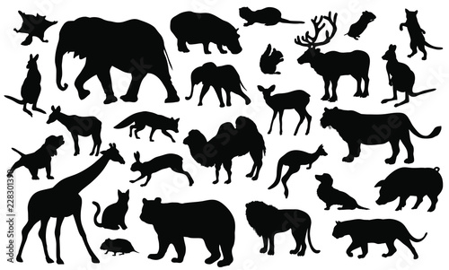 Set of 27 animals silhouettes on white background. Animals vector illustrations. © tomr