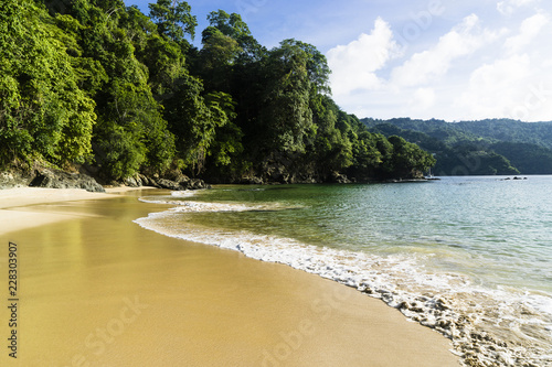 Desert beach, Pirate's bay, Charlotteville, Tobago, Trinidad and Tobago, West Indies, South America photo