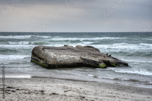 Dänemark, Skagen, Bunker, Ruine, Festung, Weltkrieg, Regelbau 638, Atlantikwall, Nordjylland, Frederikshavn, Skagerrak, Gränen, Kattegat, Landspitze photo