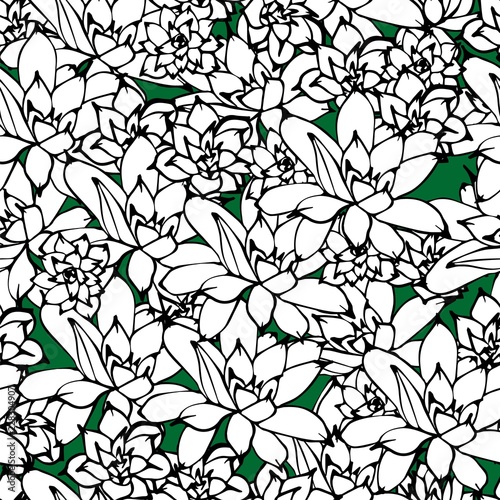 Floral seamless vector pattern with Echeveria . Fabric print design. Succulent decorated textile surface. Hand drawn vector illustration.