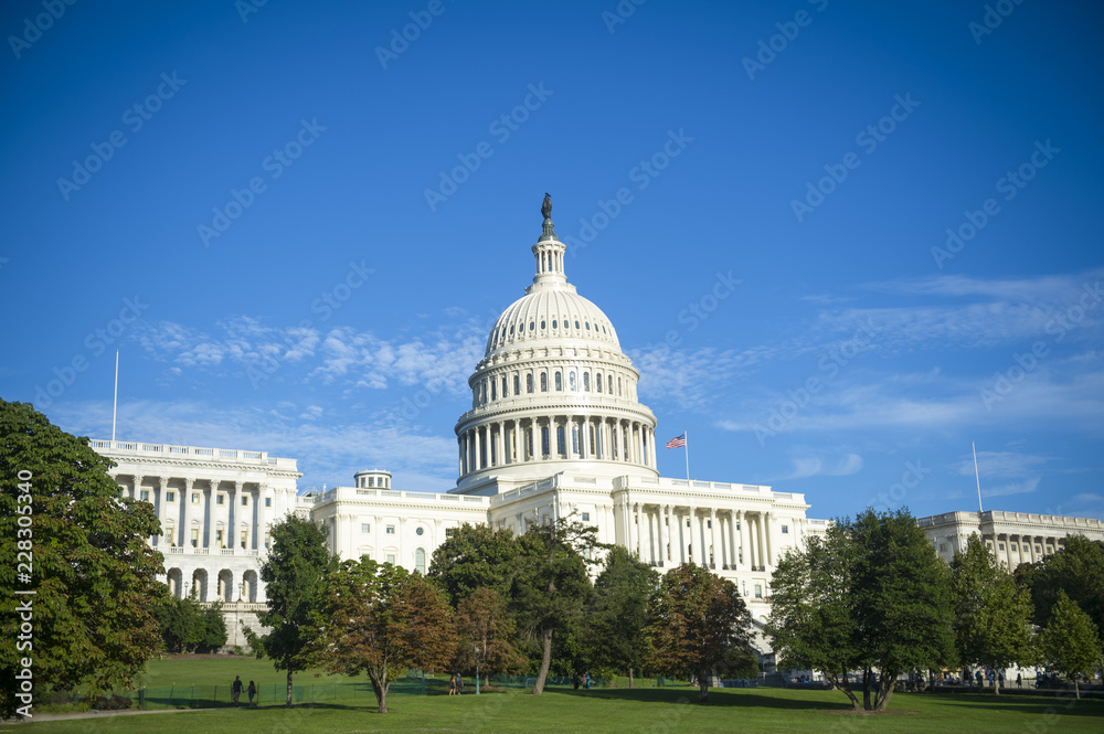 Portrait of the US Capitol building with fresh green grass under bright blue summer sky in Washington DC, USA
