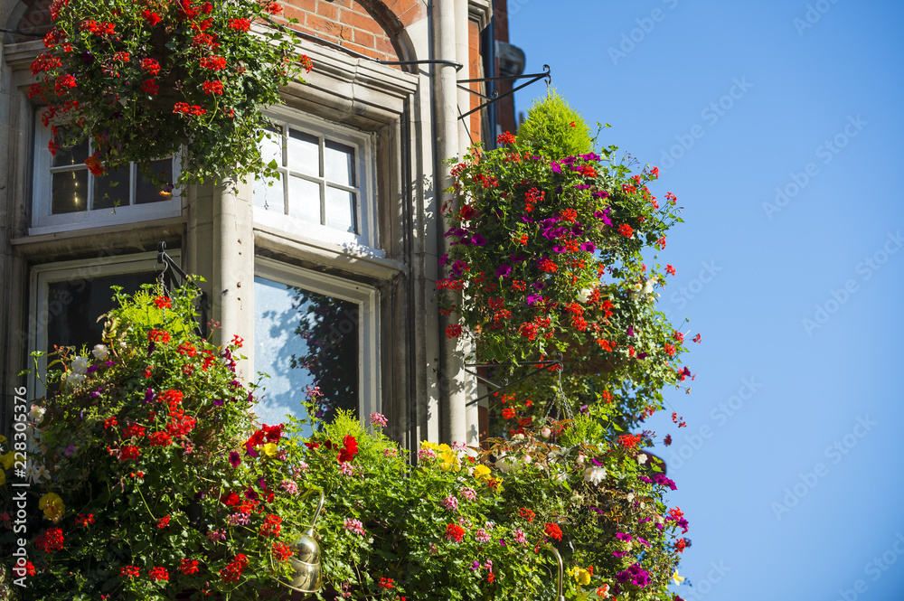 Colorful flower pots hanging outside a classical style brick building with bright blue sky