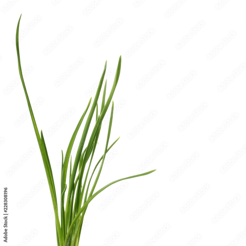  leaves of onion  isolated on white