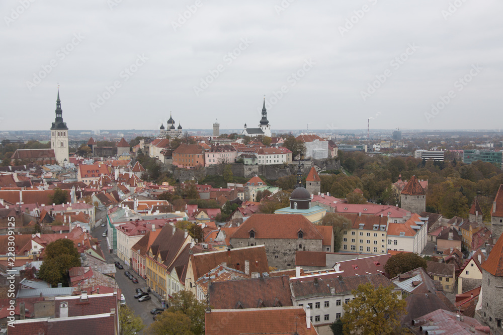 Fototapeta premium roofs of Tallinn old town