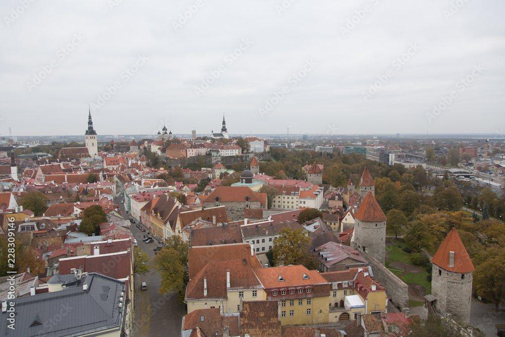 Obraz premium roofs of Tallinn old town