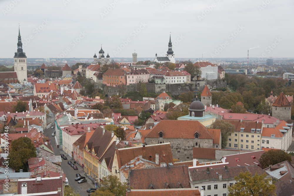 roofs of Tallinn old town