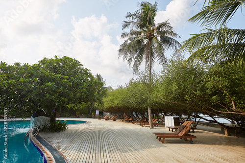 Swimming pool side of luxury hotel ith deck chairs  palm trees and blue ocean. Maldives