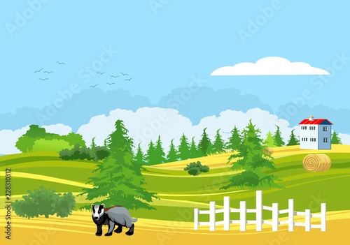 Countryside landscape, house on the edge of forest, badger, nature, farmland.