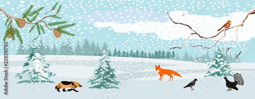 Wildlife landscape, winter in the forest, vector illustration. 