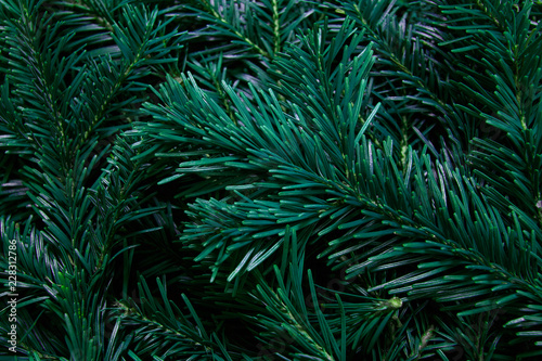 Fir tree branches forming bsckground. Christmas and new year backdrop.