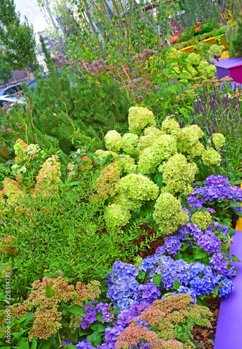 The festival "Flower Jam" was held in Moscow. On the streets of the city were presented works on floristry, botany, art objects. Russia, Moscow, August 2018